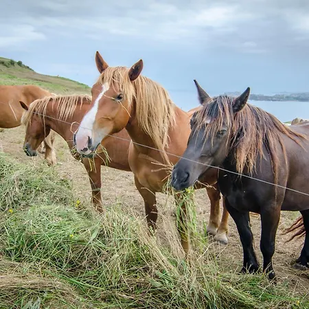 Punta Ballota 4* Suances