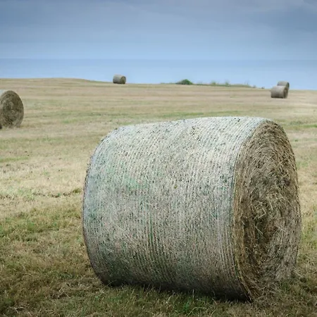 Punta Ballota 4* Suances