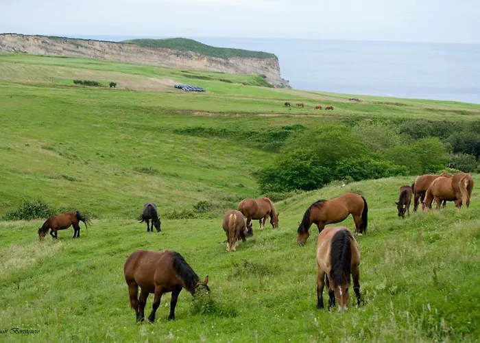 Punta Ballota 4* Suances