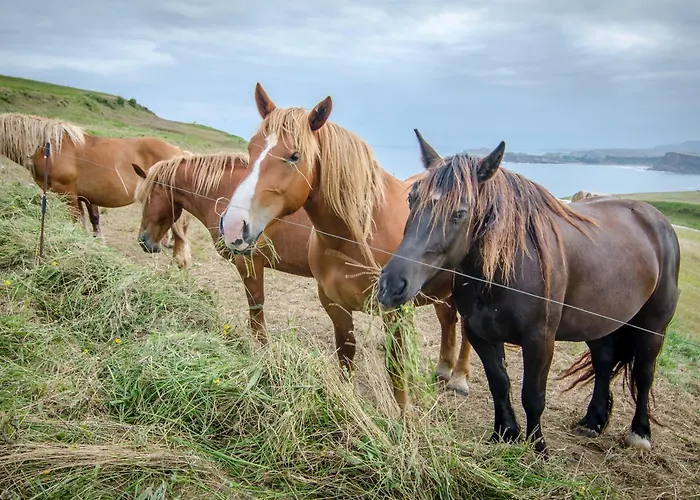 Punta Ballota 4* Suances