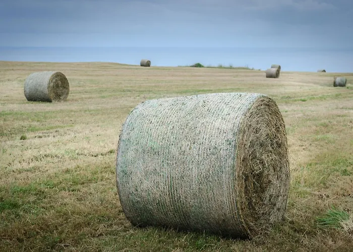 Punta Ballota 4* سوانثيس