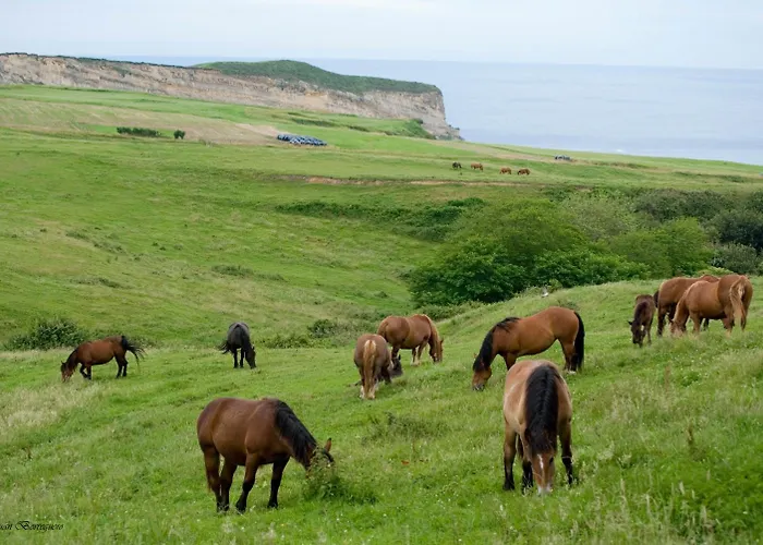 波萨达蓬特波洛塔酒店 招待所